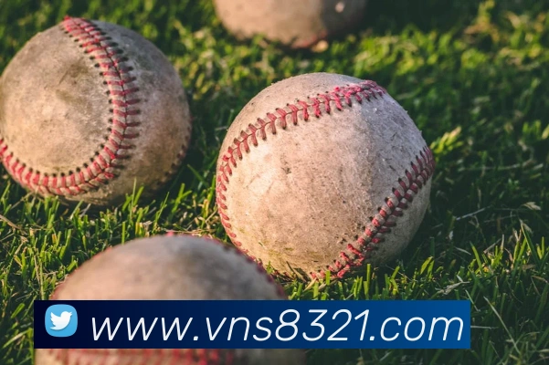 威尼斯人官方网站服务体系